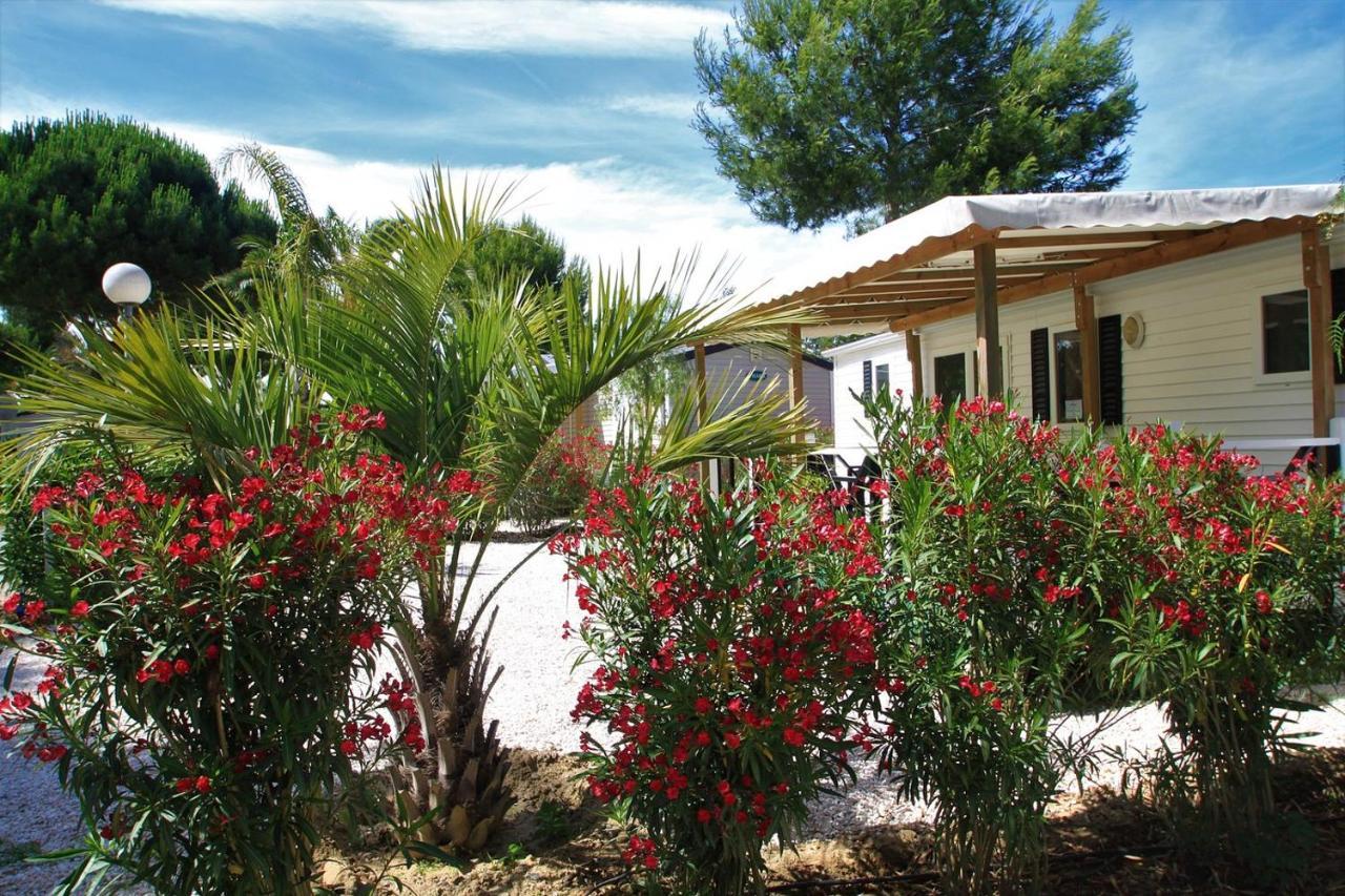 Camping Del Mar 10, Mobil Home Petit Paradis, 6 Personnes, Bord De Mer, Camping Del Mar Village Argeles-sur-Mer Luaran gambar